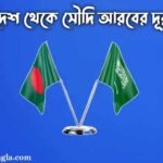 বাংলাদেশ থেকে সৌদি আরবের দূরত্ব কত